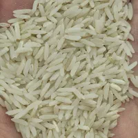 برنج سرگل تماشایی