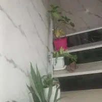 چوب پرده ۳متر ونیم