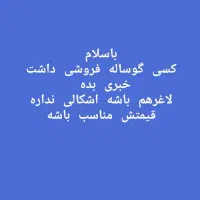 گاو فروشی