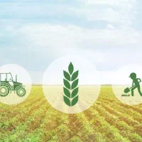 کارگر و سرایدار