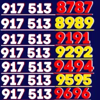 917.513.9595