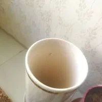 گلدون نو سرامیکی|گل و گیاه طبیعی|کرج, ملک‌آباد|دیوار