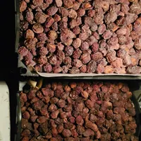 خشکبار آلوچه خشک|خوردنی و آشامیدنی|اصفهان, نیروگاه|دیوار