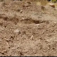 زمین-تجاری-مسکونی-سپیدان