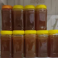 عسل کنار اعلا و درجه یک|خوردنی و آشامیدنی|بندر دیر, |دیوار