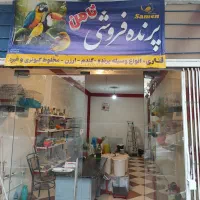 پرنده فروشی ثامن روبرو کوچه 61