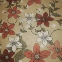 پالاز موکت +کناره +گلیم کم کار درحدنو|موکت|سنندج, |دیوار