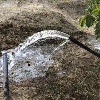 فروش دوهکتار باغ سیب و گردو و آلوچه|فروش زمین و ملک کلنگی|مراغه, |دیوار