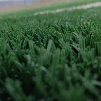 هدیه نامحدود برنامه بله.