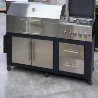 فروش باربیکیو گازی زغالی کابینت دار