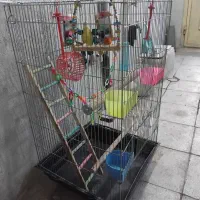 قفس پرنده|لوازم جانبی حیوانات|سبزوار, قلعه‌نو دهزار|دیوار