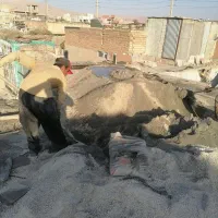 پیمانکار، اجرای اسکلت یا تعمیرات ساختمان با مصالح