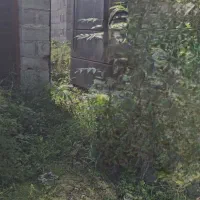 زمین مسکونی لاهیجان پروانه ساخت ویو ابدی|فروش زمین و ملک کلنگی|لاهیجان, بوجایه|دیوار