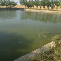 فروش چاه آب ، موتور آب با ۱۶ هکتار زمین کشاورزی|فروش دفتر صنعتی، کشاورزی، تجاری|اراک, |دیوار