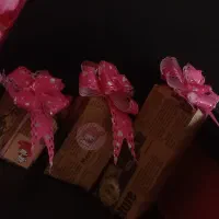 شانسی آرایشی با آپشن های فوق کاربردی