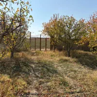 فروش باغ 8000مترمربعی سند شش دانگ تک برگی