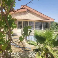 باغ-تیمیارت-صحرا-بالا