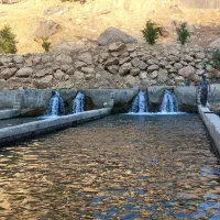 ماهی سالمون و سفید قزل الا