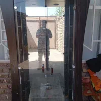 گنجینه