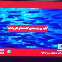 تلفزیون اسمارت|تلویزیون و پروژکتور|کرمانشاه, |دیوار