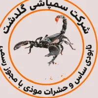 سم ساس