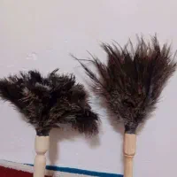 گردگیر منزل