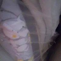 لوازم نوزاد سالم ونو قنداق وگهواره وچادر بازی|اسباب و اثاث بچه|تربت‌حیدریه, پائین ولایت|دیوار
