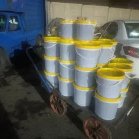 رب انار