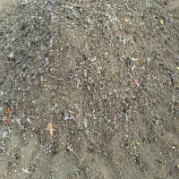 کود مرغی (چلغوز مرغ)