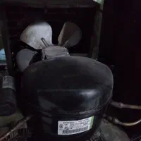 یخچال ویترینی|یخچال و فریزر|بروجن, |دیوار