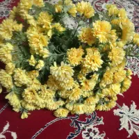 گل مصنوعی نو|گل مصنوعی|سبزوار, جهاد کشاورزی|دیوار