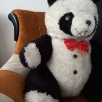 عروسک پاندا|اسباب‌بازی بچه|مریوان, |دیوار