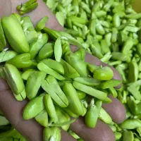 باقاله پاک کرده