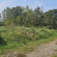 زمین روستایی مسکونی باغی ۱۵۰۰ متری لاهیجان