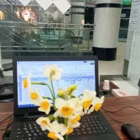 مشاور   مالی ، مالیات ، ثبت شرکت ، شرکت در مناقصات