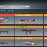 اکانت رایگان