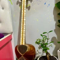 تار حرفه ای خوش صدا|سازهای سنتی|گرگان, |دیوار