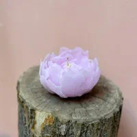 آموزش شمع سازی تخصصی با مدرک بین المللی|خدمات آموزشی|اصفهان, وحید|دیوار