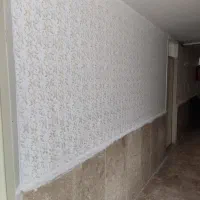 نقاشی ساختمان به صورت حرفه ای|خدمات پیشه و مهارت|بروجرد, |دیوار