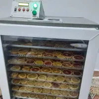 خشک کن میوه و سبزیجات|سایر لوازم برقی|زرگرشهر, |دیوار