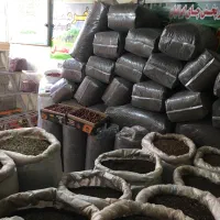 چای سبز|خوردنی و آشامیدنی|کرج, ساسانی (قلمستان)|دیوار