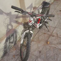 دوچرخه ۲۰حرفه ای برند فلش|دوچرخه، اسکیت، اسکوتر|تربت‌حیدریه, بوستان باغ ملی|دیوار