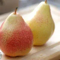 تولید نهال گلابی فورل