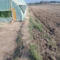 فروش گلخانه