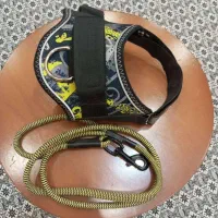 کلبه سگ|لوازم جانبی حیوانات|تهران, تهرانپارس شرقی|دیوار