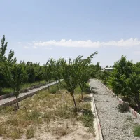 باغچه کاسبی کاسبی در بختیار فوری|فروش زمین و ملک کلنگی|تنکمان, |دیوار