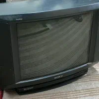 تلویزیون