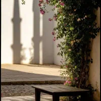 ۲۸۰ متر با بر ۱۴ متر از کوچه ۶ متری سنددار (رسالت)