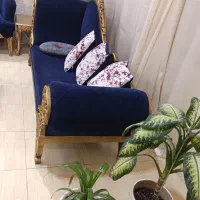 مبل سلطنتی راحتی با میز وعسلی|مبلمان خانگی و میز عسلی|فولادشهر, C4|دیوار