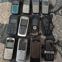 تعدادیگوشیسالموارزان